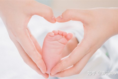 http://jinhua.51dzb.net/post/188.html|金华新闻中心